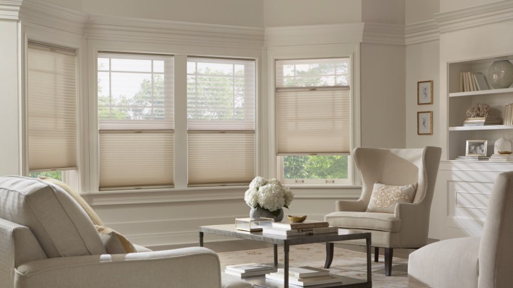 Cellular honeycomb shades in a bright Kansas City living room