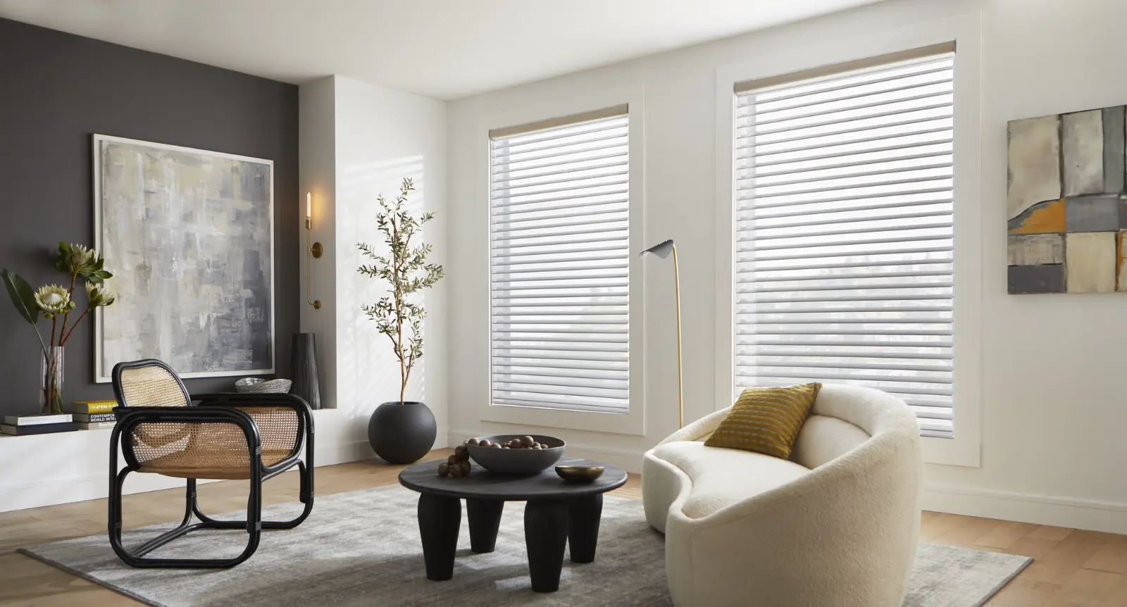 Alta by Hunter Douglas sheer shades in a bright Kansas City living room